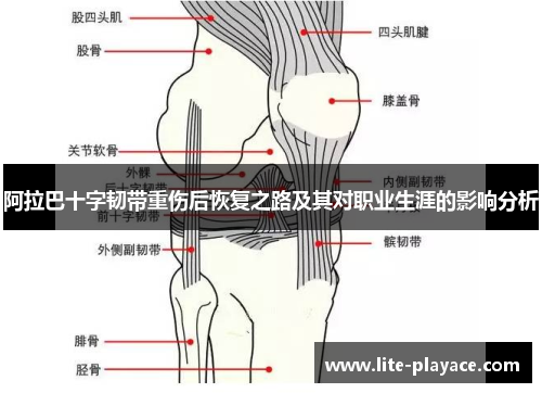 阿拉巴十字韧带重伤后恢复之路及其对职业生涯的影响分析