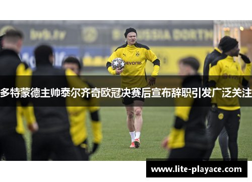 多特蒙德主帅泰尔齐奇欧冠决赛后宣布辞职引发广泛关注 多特蒙德主帅泰尔齐奇欧冠决赛后宣布辞职引发广泛关注
